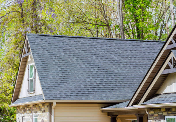 Roof Moss and Algae Removal in Mannington, WV